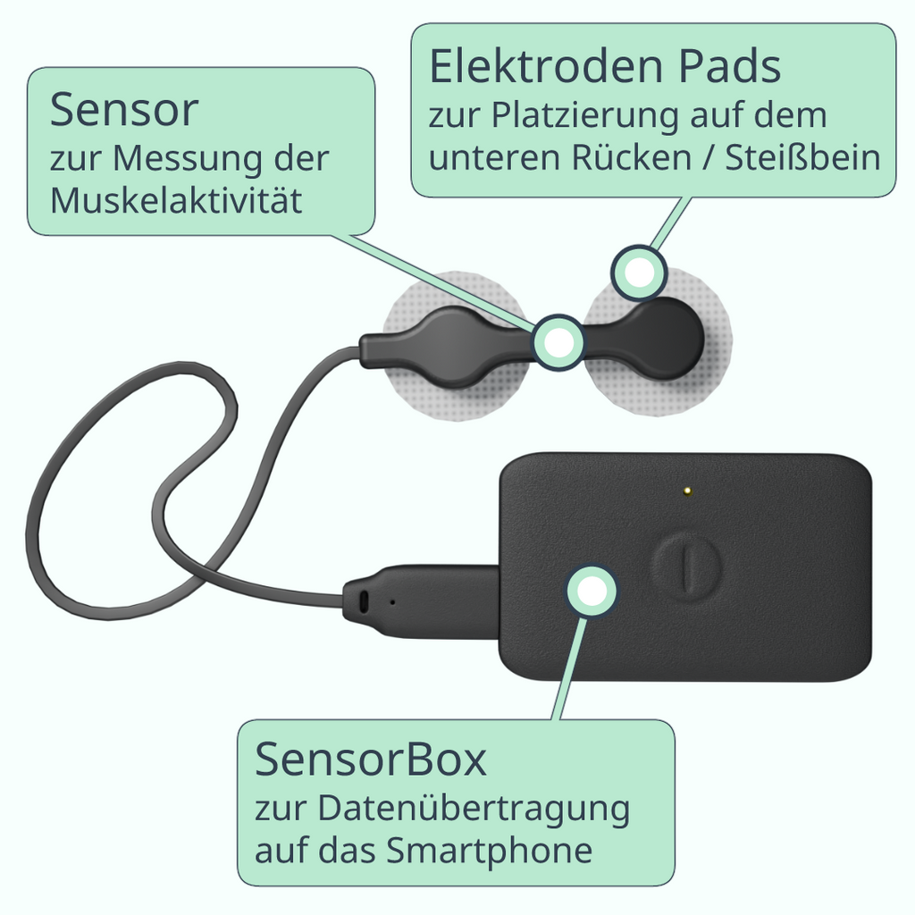 Apelvo-Komplett-Set