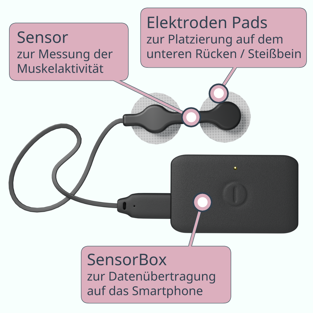 Apelvo-Komplett-Set für Frauen